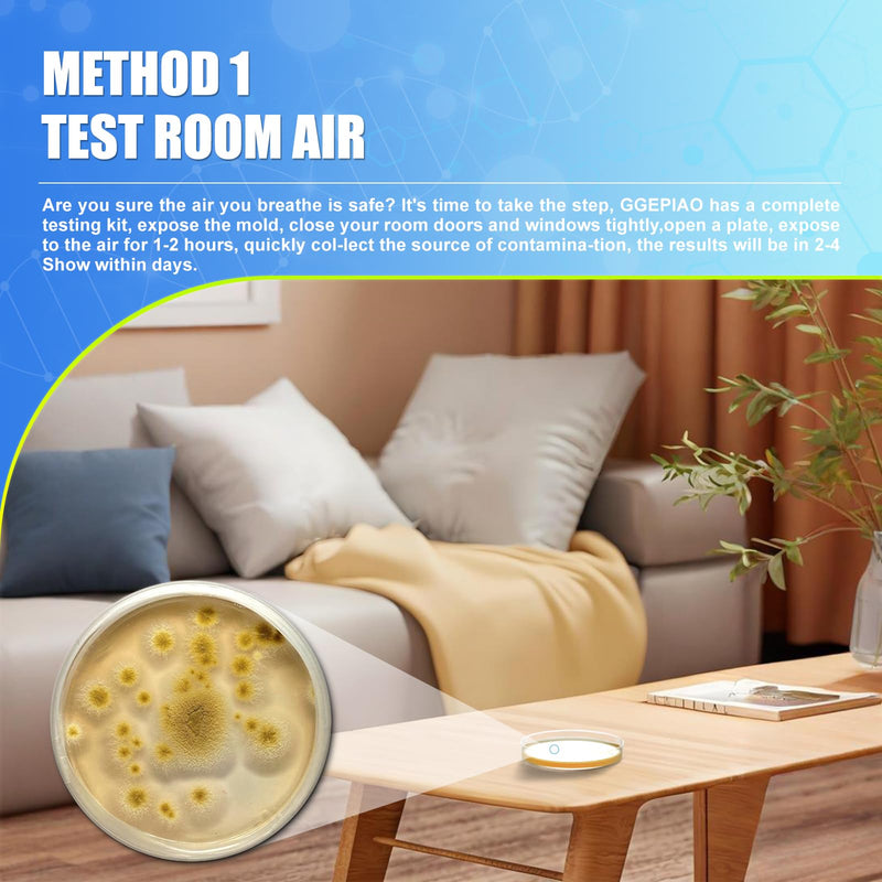 Mold Test Kit for Home,14 Simple Detection Tests,Test HVAC System,Home Surfaces, Indoor Air Quality Testing,DIY Mold Detector,Includes Detailed Mold Identification Guide,Black Mold Testing kit 14