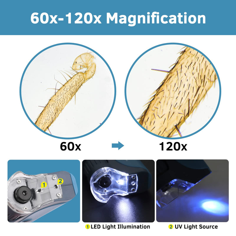 BEBANG Pocket Microscope for Kids, Handheld Mini Microscope with LED, 5 Prepared Slides, 60x-120x Portable Microscope for Kids Students Microbiological Observation Preschool Study 120X