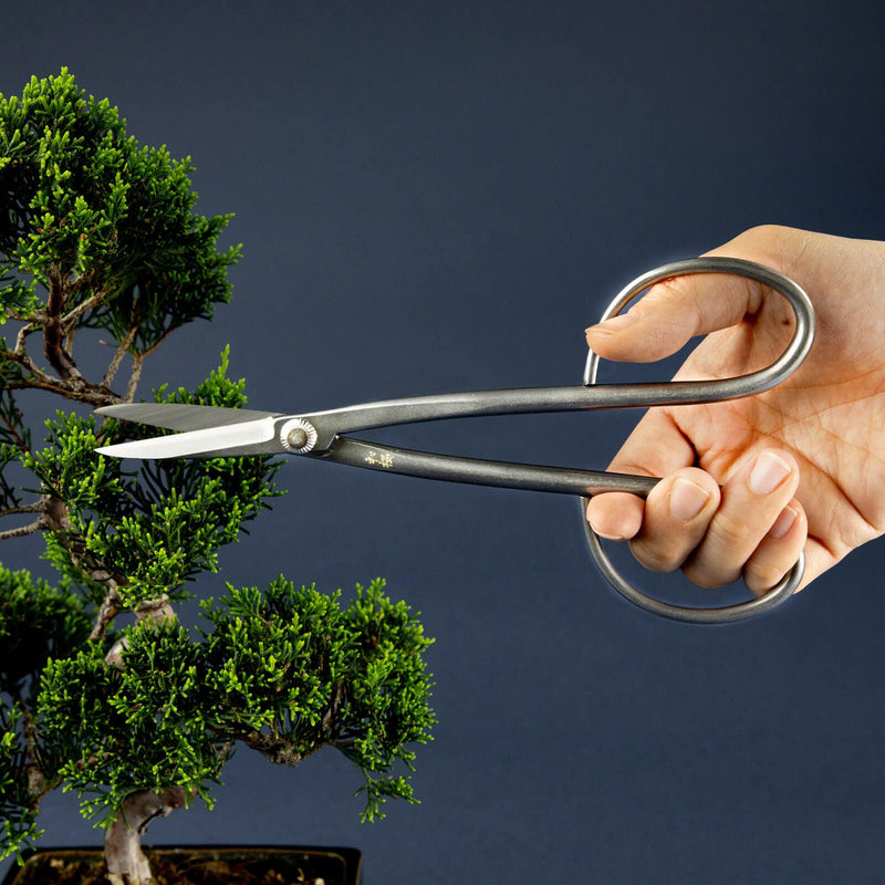 Wazakura Yasugi Stainless Steel Made in Japan Twig Bonsai Scissors 8.27" (210 mm), Japanese Garden Pruning Snip Tools Shears, Flower Herb Trimming Shears (Yasugi Stainless Steel Twig Scissors) Yasugi Stainless Steel Twig Scissors