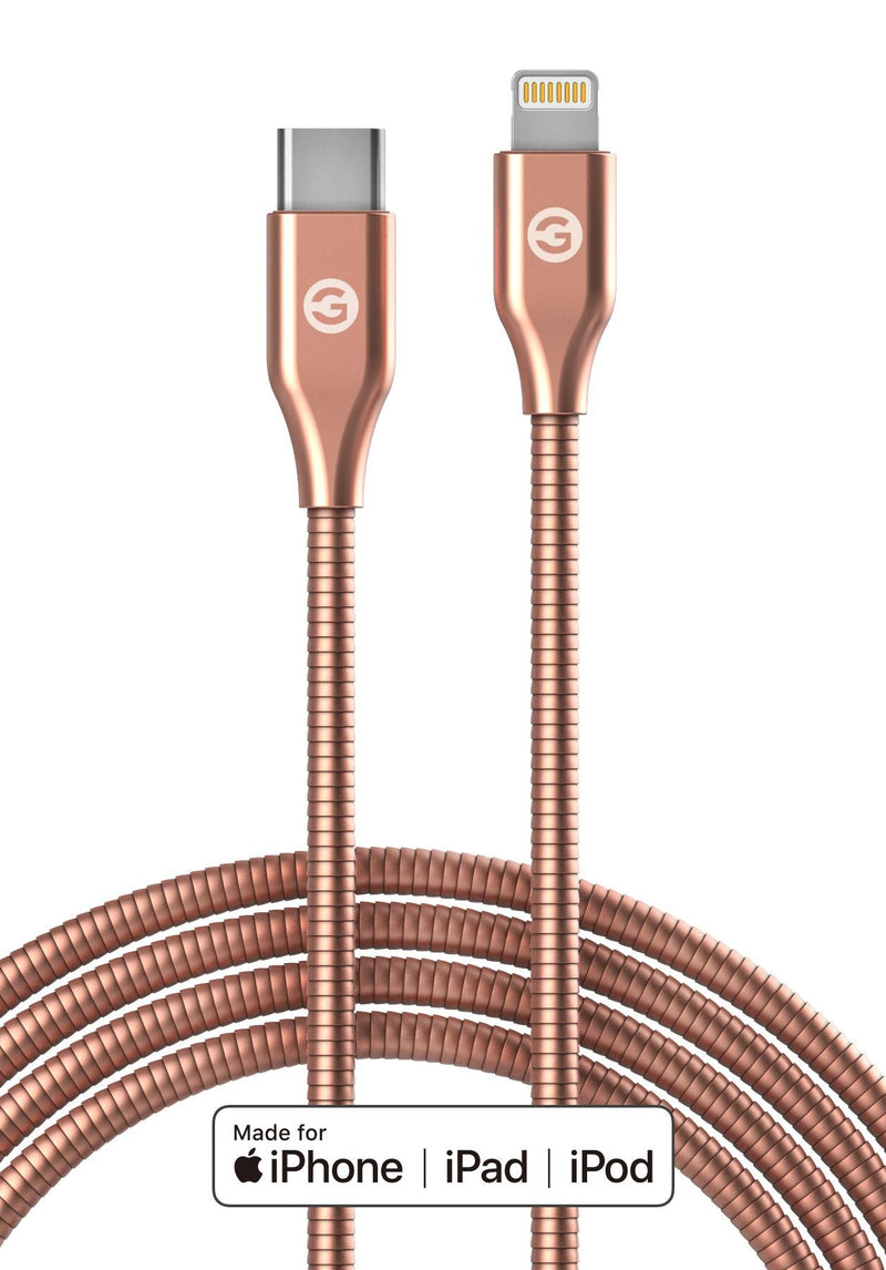 GALVANOX (2 Pack) Pet Proof iPhone Charger - Braided Metal Lightning to USB-C Charging Cables [Apple MFi Certified] Ultra Durable ChewProof Cord (4 Ft.) Compatible with iPhone and iPad
