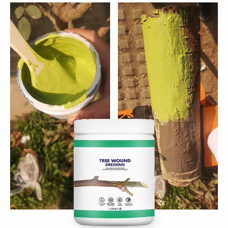 Tree Wound Sealer, Tree Pruning Sealer, Tree Grafting Supplies, Tree Wound Sealer Healing Paste, Bonsai Cut Paste, Pruning Sealer And Tree Wound Dressing for Trees, Shrubs, Roses (5Pcs*100g +5*Brush) 5Pcs*100g +5*Brush