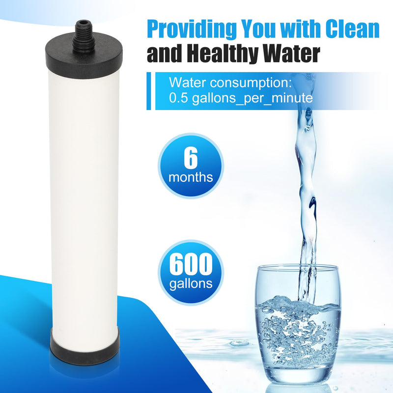 FRC06 Filter Cartridge, FRC06 Filter Replacement for Franke Water Filter, Filters Compatible with Franke FRCNSTR/FRC06 and FRCNSTR100/FRC06FRC06 Filters (2 PACK） 2 PACK