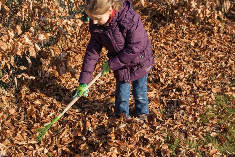 Esschert Design USA KG101 Childrens Lawn Rake, Green