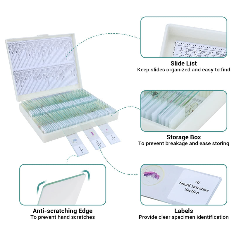 100 Microscope Slides with Specimens for Kids and Adults, Prepared Microscope Slides with Plants Animals Insects for Students Homeschool Edu 100Pcs