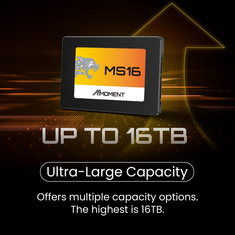 MMOMENT MS16 1TB 2.5 Inch SATA III 6 GB/s Internal Solid State Drive SSD (Read up to 550MB/s) Compatible with PC Desktop 2.5 in