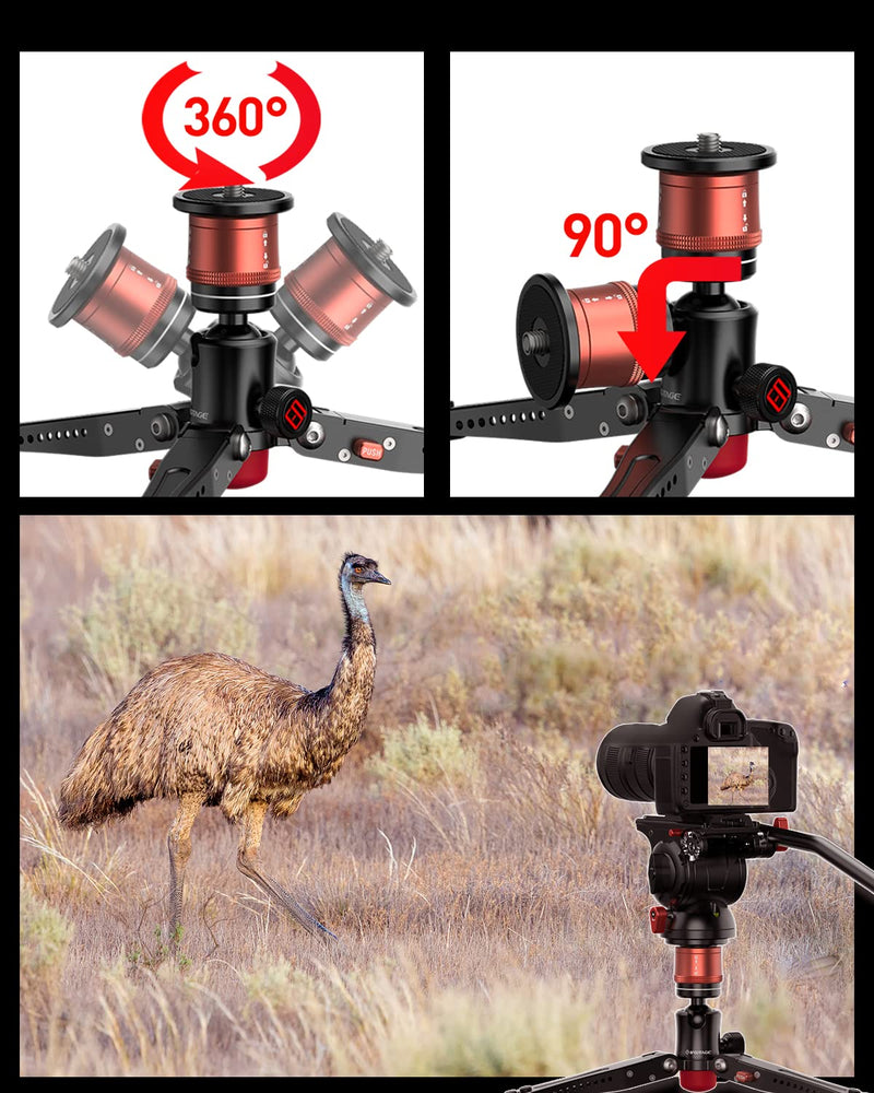 IFOOTAGE Cobra 3 Monopod Base,10" Desktop Mini Tripod,Small Camera Tripod for,Monitor,Phone Holder Clip,Mini Ball Head,LED Flash,1/4"&3/8" Automatic Switching Screw,Load up to 17.64lb/8kg Standard Base Version