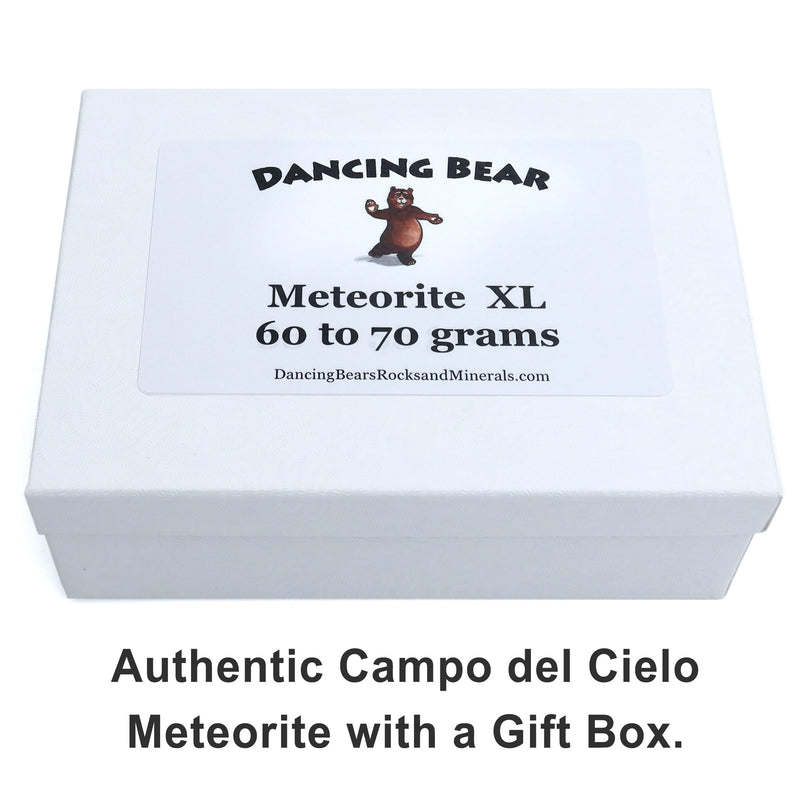 DANCING BEAR Real Meteorite Extra Large (60-70g) Genuine from Campo Del Cielo Argentina, Certificate of Authenticity, Display Stand, ID Card, Space Rock, Assembled in The USA 60-70g