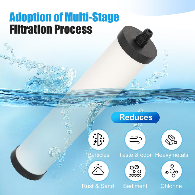 FRC06 Filter Cartridge, FRC06 Filter Replacement for Franke Water Filter, Filters Compatible with Franke FRCNSTR/FRC06 and FRCNSTR100/FRC06FRC06 Filters (2 PACK） 2 PACK
