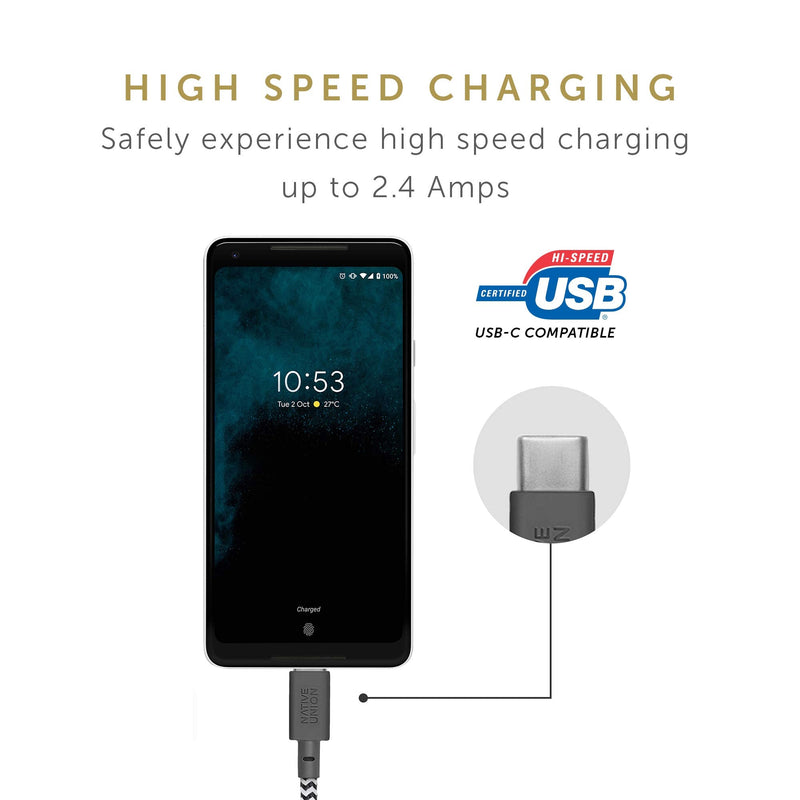 Native Union Belt Cable XL USB-A to USB-C - 10ft Ultra-Strong Charging Cable with Leather Strap for iPhone 17/17 Pro/17e, iPhone Air, Galaxy S26/S25, Z Fold 7/Flip 7, Pixel 10 Pro, iPad Pro (Zebra) Zebra
