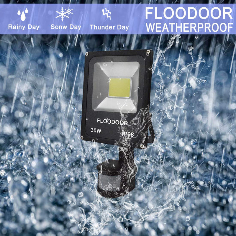 30W LED Motion Sensor Light Outdoor Safety Waterproof 12-24V AC/DC IP66 Super Bright Floodlight, 6000K, Daylight White, 150W Bulb Equivalent, 2700LM, PIR Intelligent Sensor Light (No Plug)