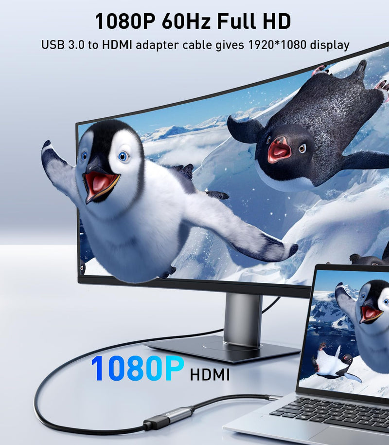 Reborn USB to HDMI Adapter, USB 3.0/2.0 to HDMI Multi-Display Cable, 1080P@60Hz USB-A 3.0 Male to HDMI Female Converter Suitable for Windows XP/7/8/10/11 - BIOS Interface Out of Use