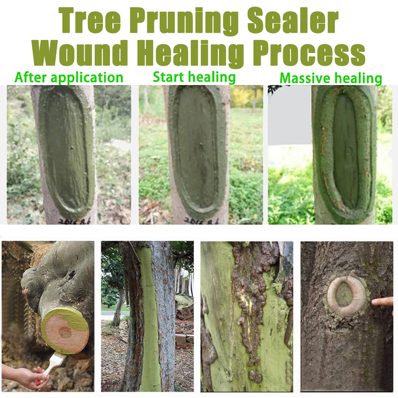 Tree Wound Sealer, Tree Pruning Sealer, Tree Grafting Supplies, Tree Wound Sealer Healing Paste, Bonsai Cut Paste, Pruning Sealer And Tree Wound Dressing for Trees, Shrubs, Roses (5Pcs*100g +5*Brush) 5Pcs*100g +5*Brush