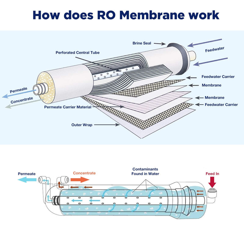 Membrane Solutions 75 GPD RO Membrane, Reverse Osmosis Membrane with Membrane Housing, Wrench, 1/4" Quick-Connect Fittings, Check Valve, Replacement for Under Sink Home Drinking RO Water Filter System 75 GPD Kit 1 Count (Pack of 1)