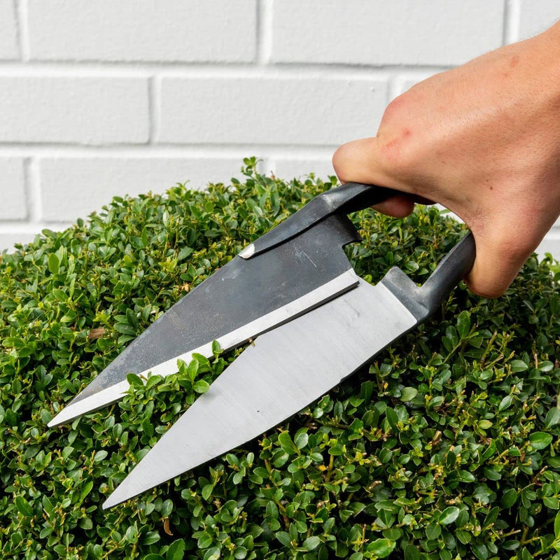 BERGER Commercial Grade Topiary Shear, Sheep Shear, 6.1" Self-Sharpening Scissor Blades, Round Spring, 2712 33x7x3.5 cm