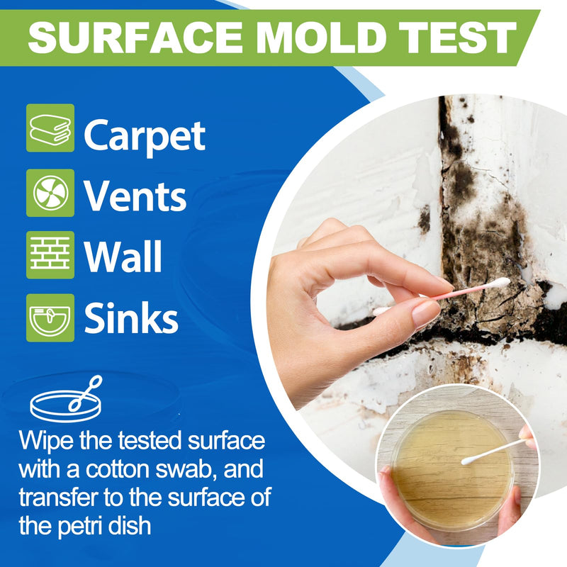 Mold Test Kit for Home-Simple Mold Detection Kits, HVAC, Surface & Indoor Air Quality Testing, Fast and Reliable DIY Mold Detector for House Black Mold, Identification Guide Free Analysis (12 Pack) 12