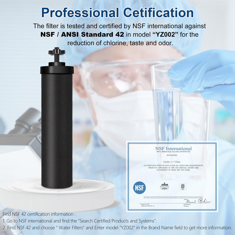 Water Filter Replacement for Berkey, Black Purification Elements, Activated Carbon Filters, Compatible with Berkey Gravity Water Filter System, Pack of 2 2 Black