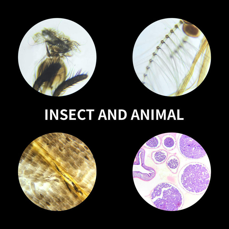 Prepared Microscope Slides with Specimens 100Pcs for Kids Students Science | Animal Plant Insect Specimens, Optical Glass with Labels, STEM Kit for Homeschool Classroom Lab & Science Education