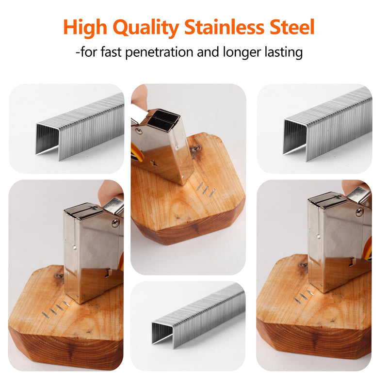 Heavy Duty T50 304 Stainless Steel Staples 3520-Count 4 Sizes Includes: 5/16", 3/8", 1/2", 9/16", Assorted Size Project Pack for T50 Stapler 5/16", 3/8", 1/2", 9/16" - 3520 Count