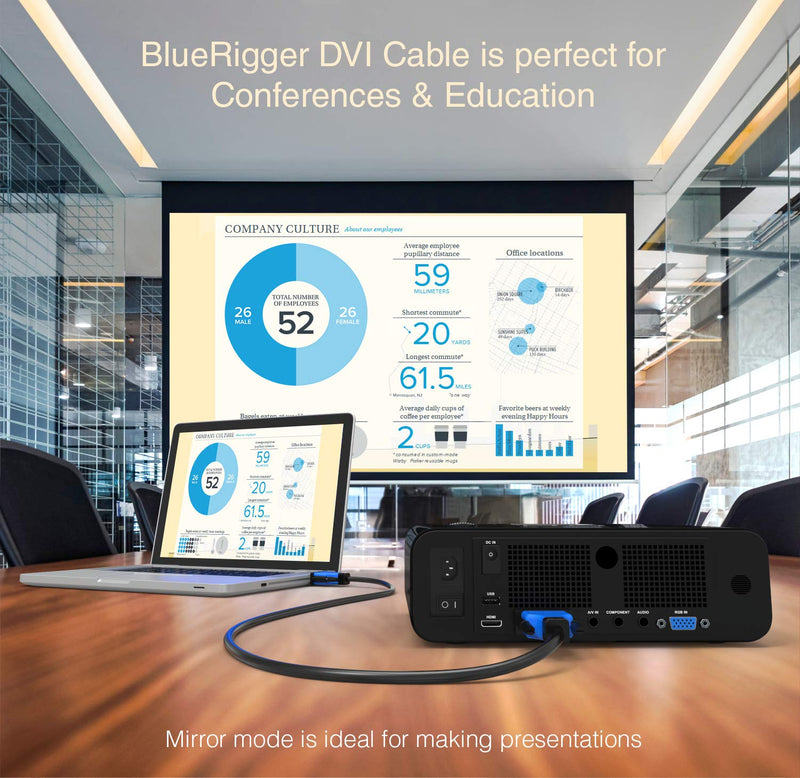 BlueRigger DVI to DVI Cable 30FT (High Resolution 2560x1600, DVI-D Cable 24+1 Dual Link, Gold Plated) – DVI Cables for Gaming, HDTV Monitors, Projectors, Graphics/Video Cards