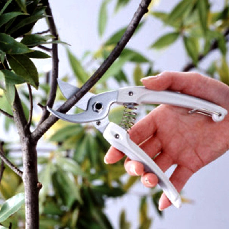 Ars Corporation 130DX-G Mini Choki, Lightweight, Small Pruning Shears (Deluxe Green) Single Item