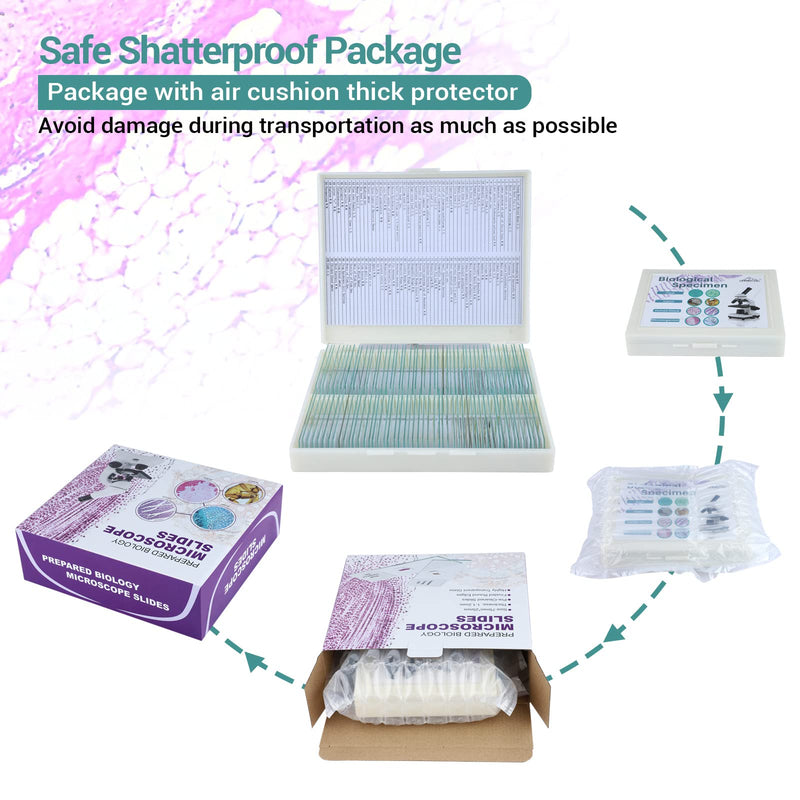 100 Microscope Slides with Specimens for Kids and Adults, Prepared Microscope Slides with Plants Animals Insects for Students Homeschool Edu 100Pcs