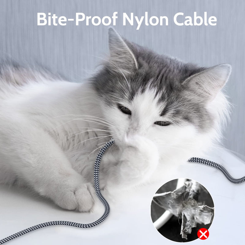Cat 7 Ethernet Cable: Nylon Braided Flat High Speed Internet Cable LAN Cable Shielded Fast and Stable Ethernet Cord for Home and Office -6.6FT 6.6FT