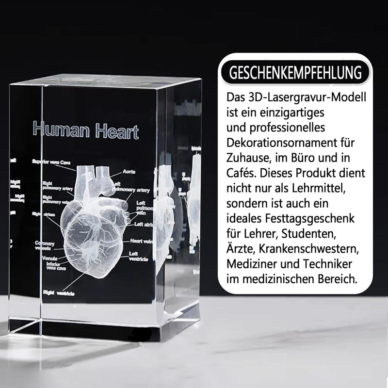 Anatomical Gifts 3D Representation of Heart for Medicine & Decoration | Crystal Glass Model Durable Teaching Aid for Dentists/Students Paperweight Compact for Practice & Decoration ‎Herz