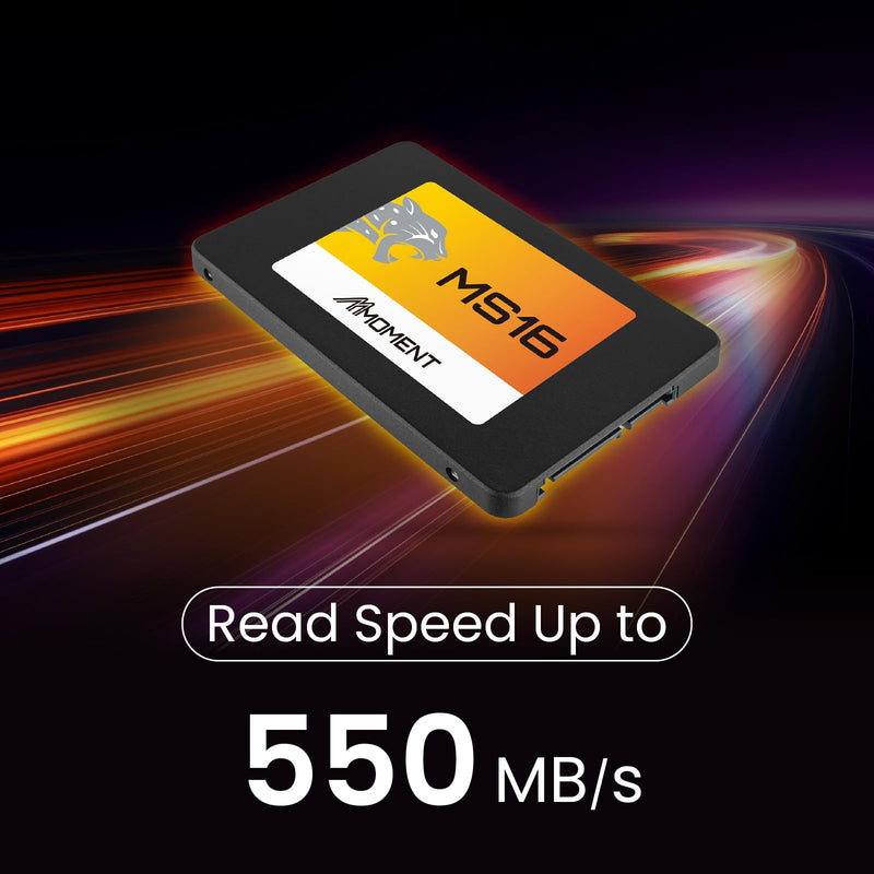 MMOMENT MS16 1TB 2.5 Inch SATA III 6 GB/s Internal Solid State Drive SSD (Read up to 550MB/s) Compatible with PC Desktop 2.5 in