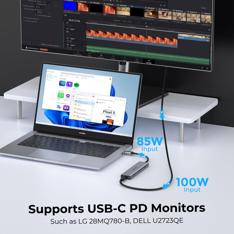 USB C Video Output Hub, Dual Monitor Docking Station Supports USB-C PD Monitor, Thunderbolt Splitter for Portable Screen, Video Output 4K@30-60Hz, 4 Port Gen2 10Gbps, PD 100W, with Type C Video Cable 4 IN 1