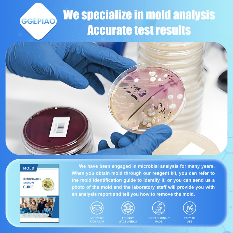 Mold Test Kit for Home,14 Simple Detection Tests,Test HVAC System,Home Surfaces, Indoor Air Quality Testing,DIY Mold Detector,Includes Detailed Mold Identification Guide,Black Mold Testing kit 14