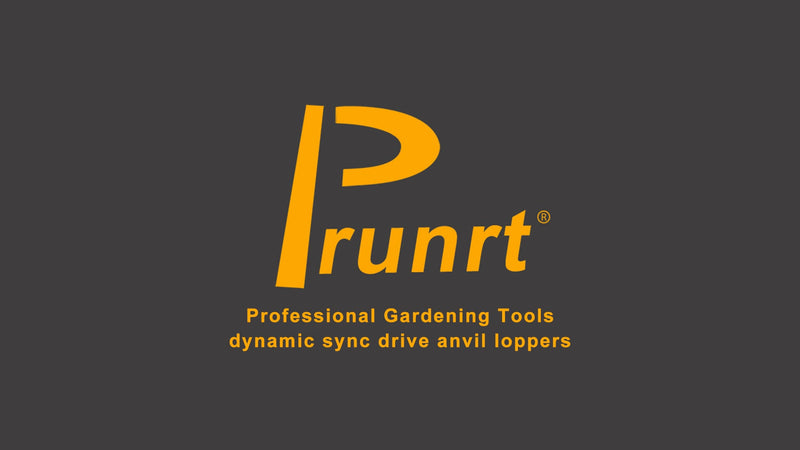 26-41 Inch Extendable Anvil Loppers, Sync Drive Leverage Tree Trimmers, Telescopic Pruners Heavy Duty, 2 Inch Cutting Capacity