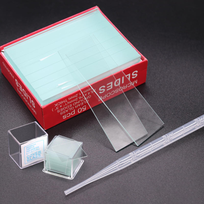 Pack of 100 Pre-Cleaned Microscope Slides 76.2 x 25.4 mm and 200 Cover Glasses Microscope 20 x 20 mm with 10 Pipette 3 ml Laboratory Biology Science Study Accessories