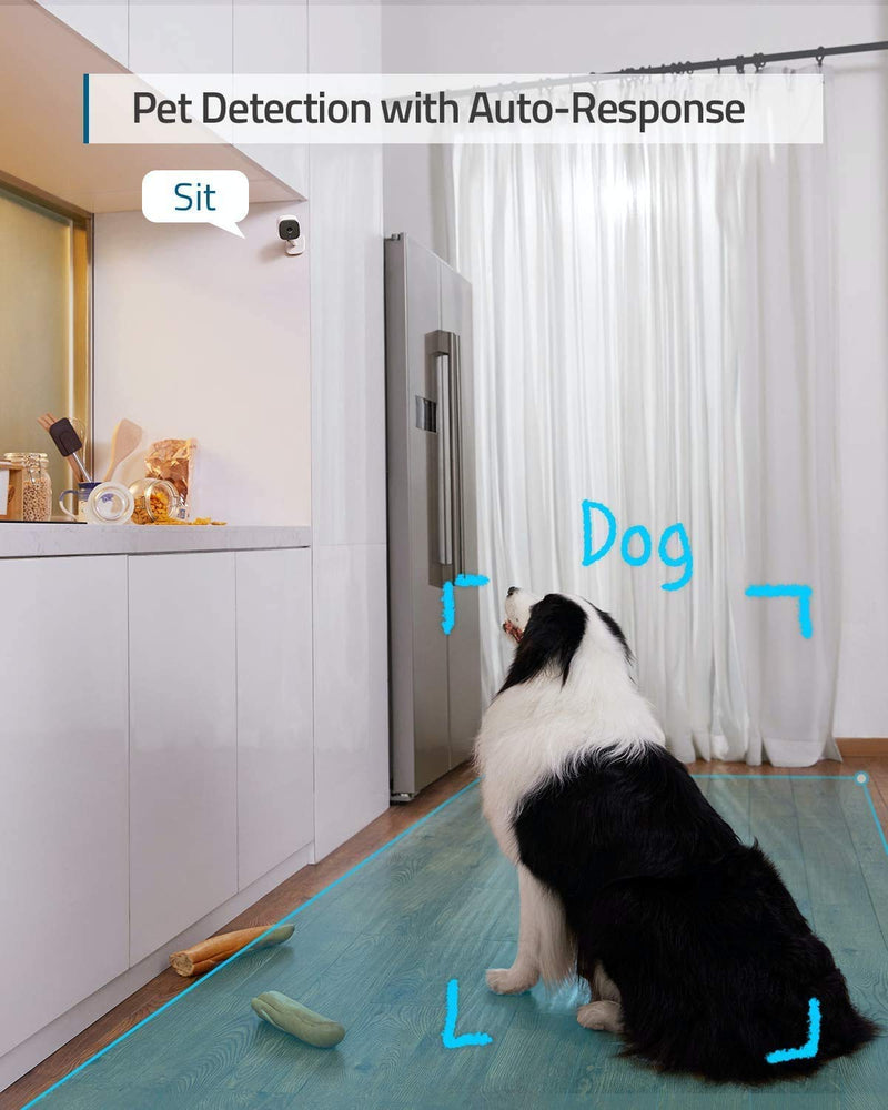 eufy Security Indoor Cam C120 2-Cam Kit | 2K Security Indoor Camera | Plug-in Camera with Wi-Fi | Human and Pet AI | Works with Voice Assistants | Night Vision | Two-Way Audio | HomeBase 3 Compatible