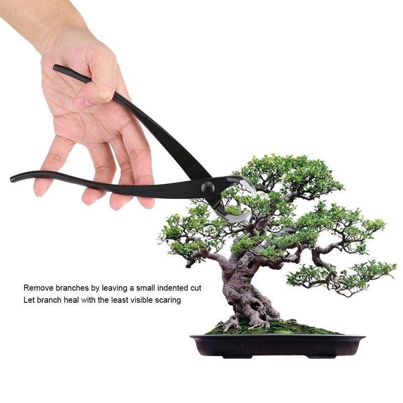 Fdit 204mm 8inch Knob Branch Cutter, Garden Fruit Tree Hollow Concave Cutter Tool with Round Gardening Bonsai Tools Scissors