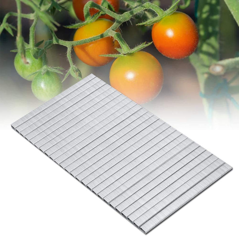 Branch Binding Nail, 10000pcs Plant Tapener Staples Garden Plant Tying Machine Tape Tool for Grapes Raspberries Tomatoes and Vining Vegetables