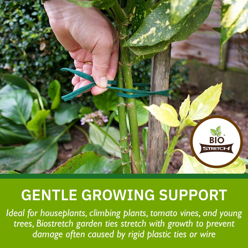 Soft Garden Plant Ties for Indoor & Outdoor Plants - Strong & Stretchy Cut-to-Length Plant Tape for Climbing Plants, Tomato Vines & Home Gardening (656 ft / 200M) 656 ft / 200M