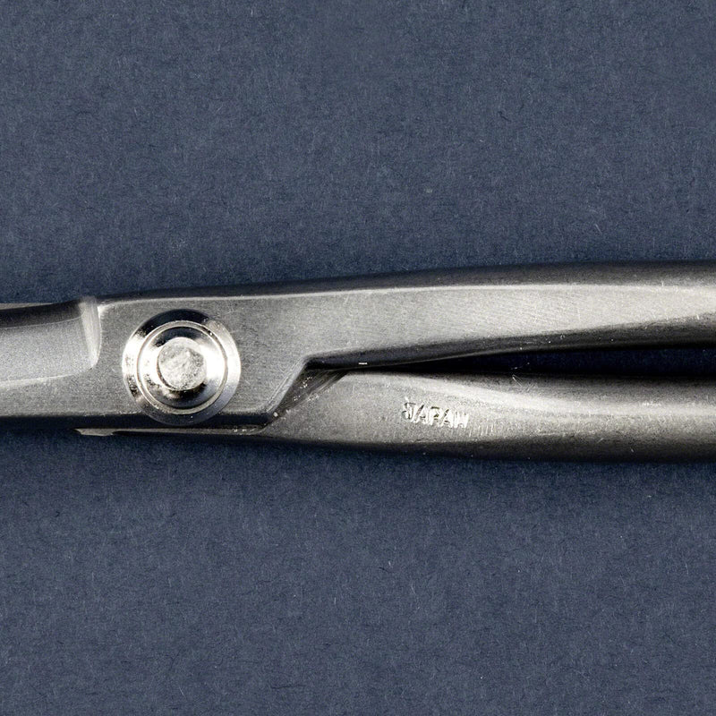Wazakura Yasugi Stainless Steel Made in Japan Twig Bonsai Scissors 8.27" (210 mm), Japanese Garden Pruning Snip Tools Shears, Flower Herb Trimming Shears (Yasugi Stainless Steel Twig Scissors) Yasugi Stainless Steel Twig Scissors