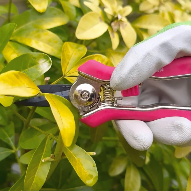 Spear & Jackson CUTTINGSET9P Colours Pruner & Snip Set