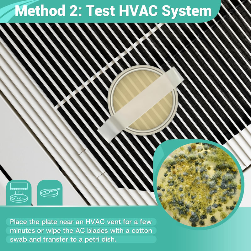 Mold Test Kit for Home - 8 Simple Comprehensive Detection for Air, Surface & HVAC - Rapid Results DIY Science Lab Kit with Identification Guide
