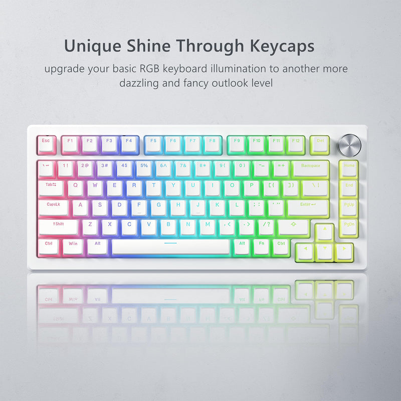 Womier Pudding Keycaps, White PBT Keycaps 100 Percent Keyboard 130 Keys, Shine Through Keycaps, Custom Keyboard Keycaps OEM Profile for 100%, 75%, 65%, 60% MX-stem Switches Keyboard-White