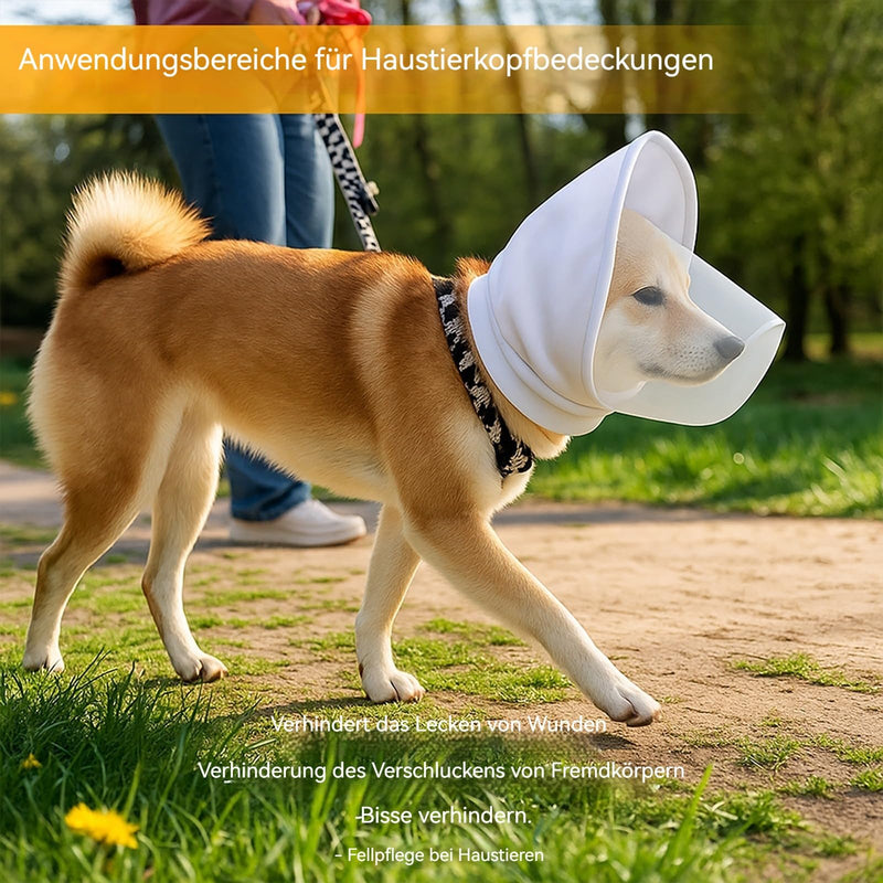Dog Mask for Outdoor Safety - Veterinarian Recommended Mesh Field Guard to Protect Against Foxtails, Grass Seeds and Dirt, Breathable, Lightweight, Adjustable Buckle Design black L 1