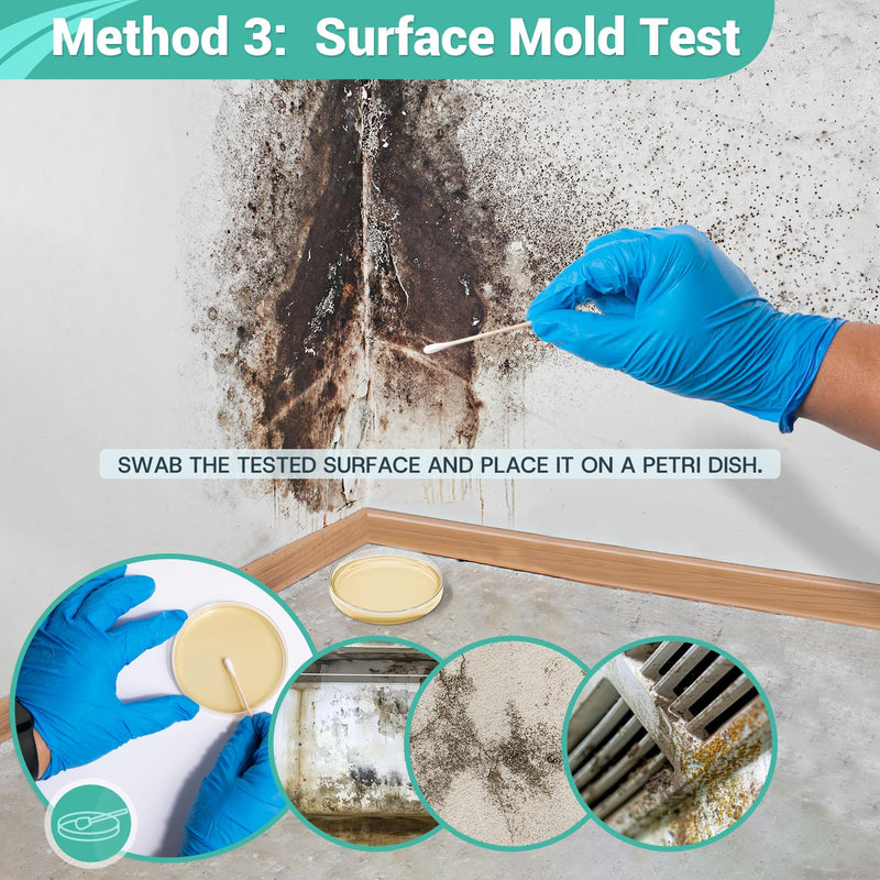 Mold Test Kit for Home - 8 Simple Comprehensive Detection for Air, Surface & HVAC - Rapid Results DIY Science Lab Kit with Identification Guide