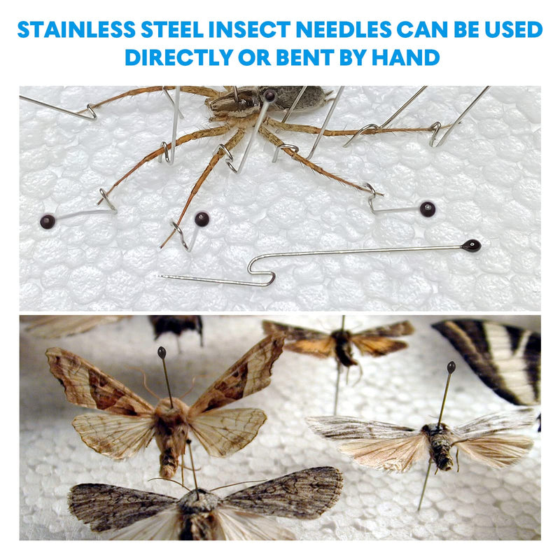 iplusmile Pack of 300 Stainless Steel Insect Specimen Entomology Dissection Butterfly Collections Needles for School 4X0. 05Cm 4X0.05CM
