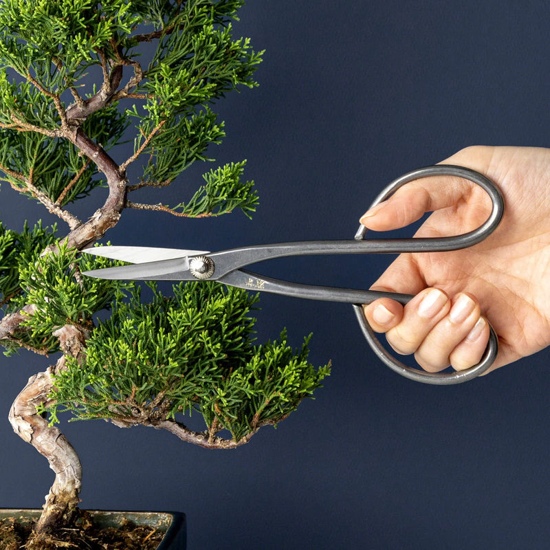 Wazakura Yasugi Stainless Steel Made in Japan Satsuki Bonsai Scissors 7.09" (180 mm), Hasami Pruning and Trimming Shears, Japanese Gardening Tools - Yasugi Stainless Steel Satsuki