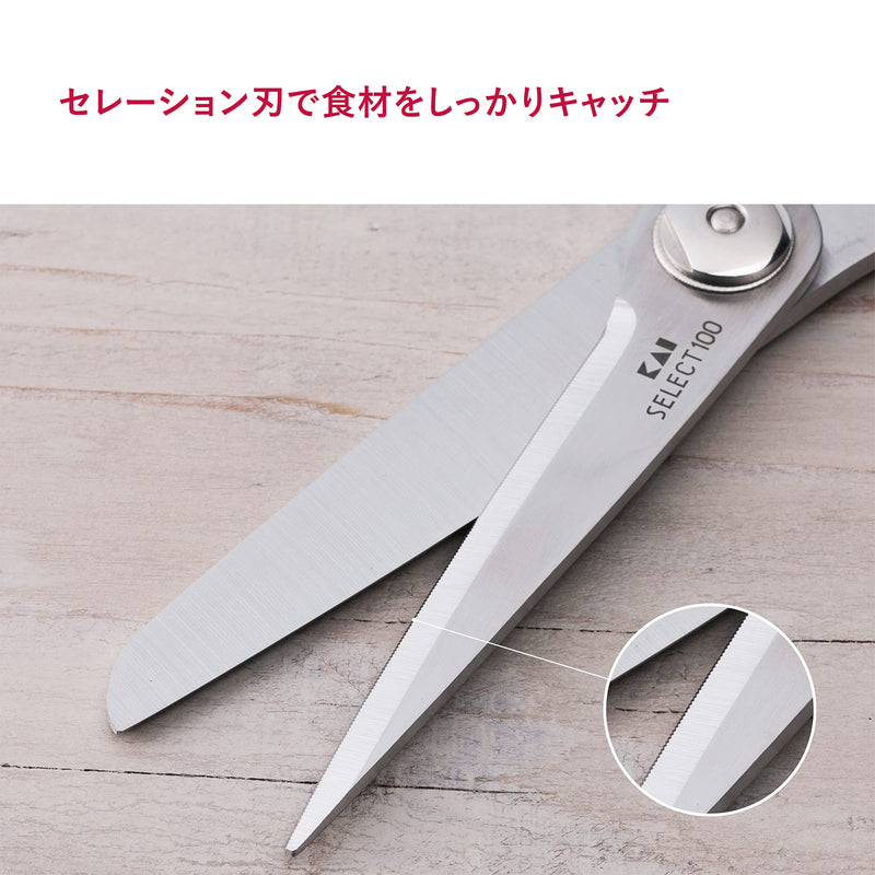 Kitchen Scissors (DH-3005) サイズ：1.5×21.3×9cm