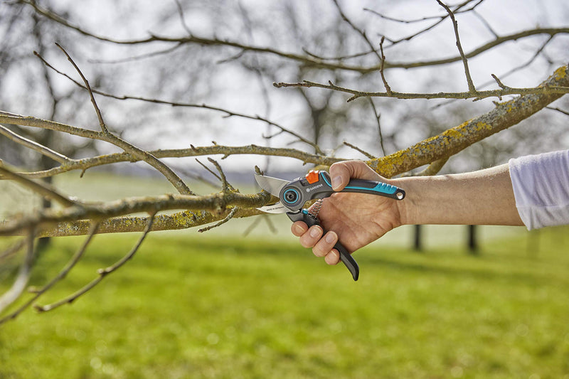 GARDENA (12203) ExpertCut pruning shears: Ideal for cutting fruit trees, 7/8" Cutting diameter, 2-stage variable handle opening, stainless steel blades, bypass cutting principle. Made in Germany
