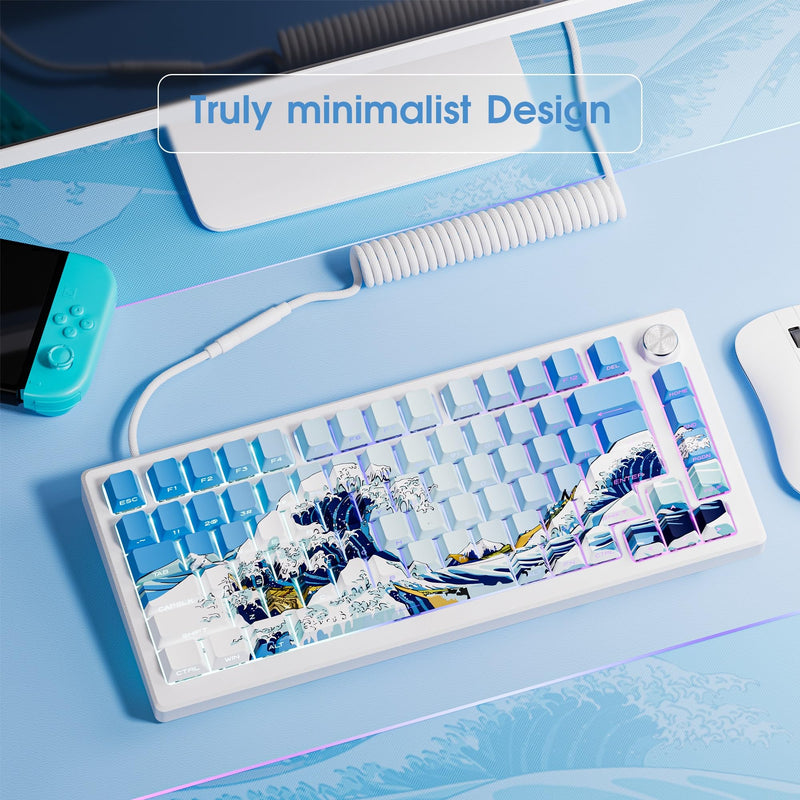 HITIME XVX Shine Through Keycaps, Side Print PBT Keycaps 75 Percent Dye Sub, 131 Keys Cherry Profile Custom Keycaps 60 Percent, Wave of Kanagawa Double Shot Keyboard Key caps for Mechanical Keyboards Blue Kanagawa Theme