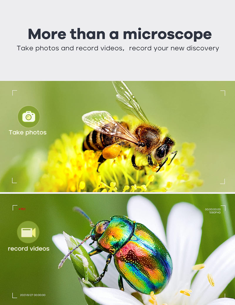 7" LCD Digital Microscope 1200X,Leipan 12MP Coin Microscope with Screen for Adults,1080P Coin Magnifier with 12pcs Slides,Wired Remote,2 Side Lights,Windows/Mac OS Compatible DM9-7" Digital Microscope