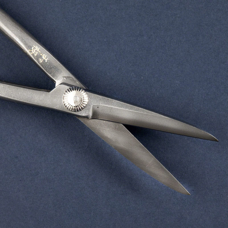 Wazakura Yasugi Stainless Steel Made in Japan Twig Bonsai Scissors 8.27" (210 mm), Japanese Garden Pruning Snip Tools Shears, Flower Herb Trimming Shears (Yasugi Stainless Steel Twig Scissors) Yasugi Stainless Steel Twig Scissors