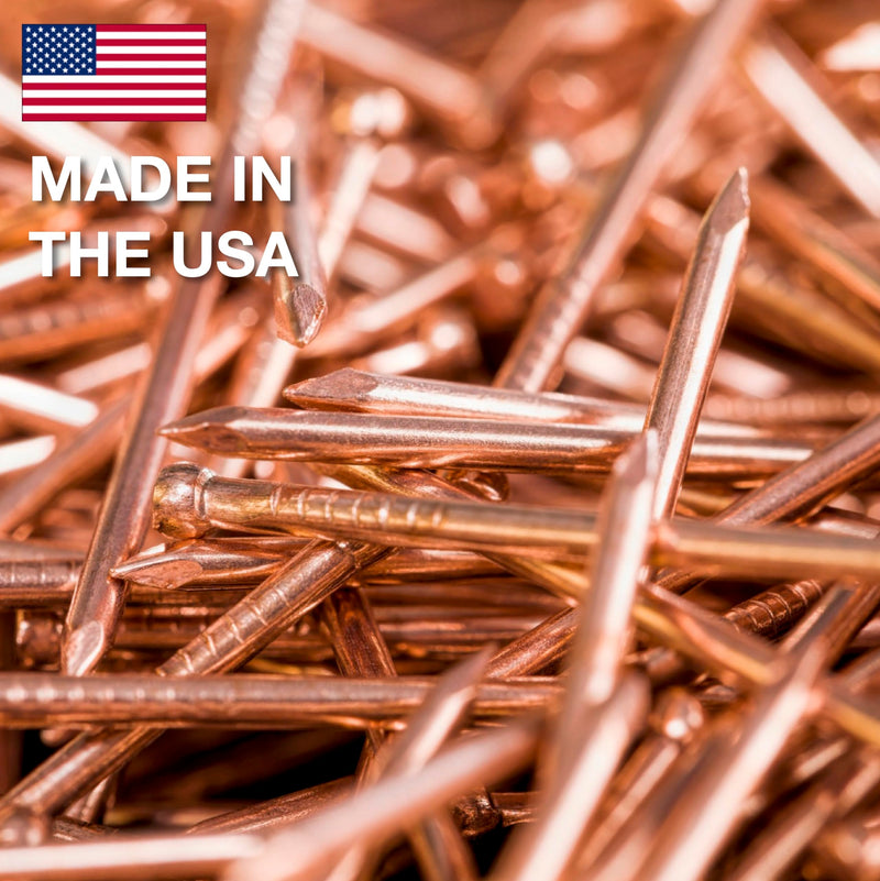 40 Pack 3 Inch USA MADE Copper Nails Pack - Pure Copper Nail Spikes USA Made - Solid Reliable Used for Trees, Stumps, Landscaping, and Hobbies (40) 40